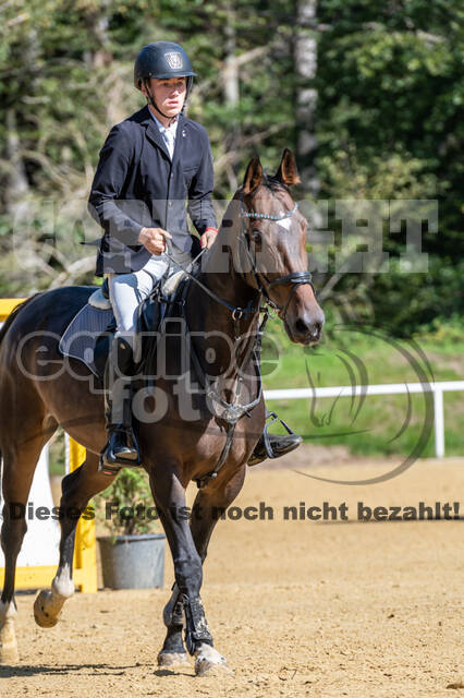RFV Dinslaken-Hiesfeld (Herbstturnier)