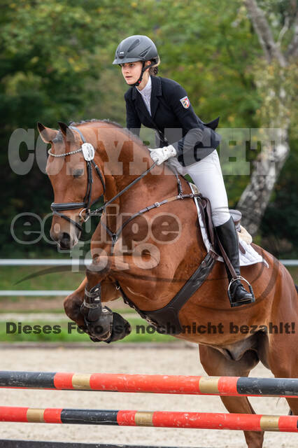 Reiter Schleswig-Holstein