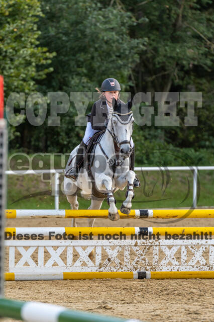 RFV Dinslaken-Hiesfeld (Herbstturnier)