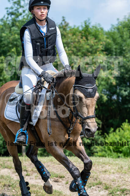 Goldene Schärpe 2021 - Ponys