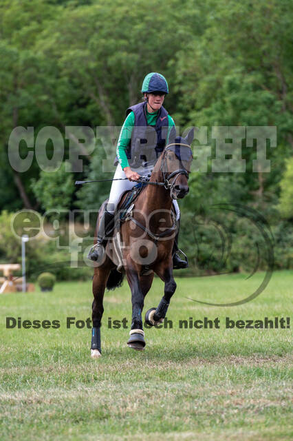 Bonn-Rodderberg Late-Entry-Vielseitigkeit (30.06.2020)