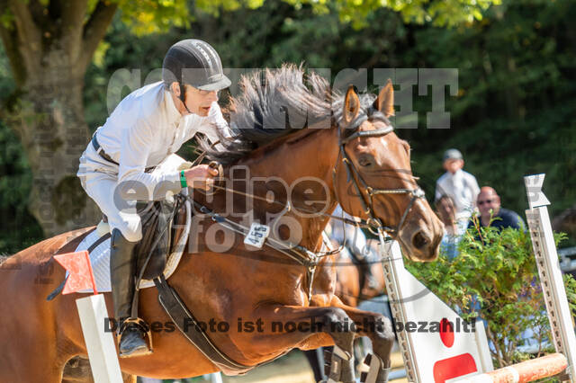 RFV Dinslaken-Hiesfeld (Herbstturnier)