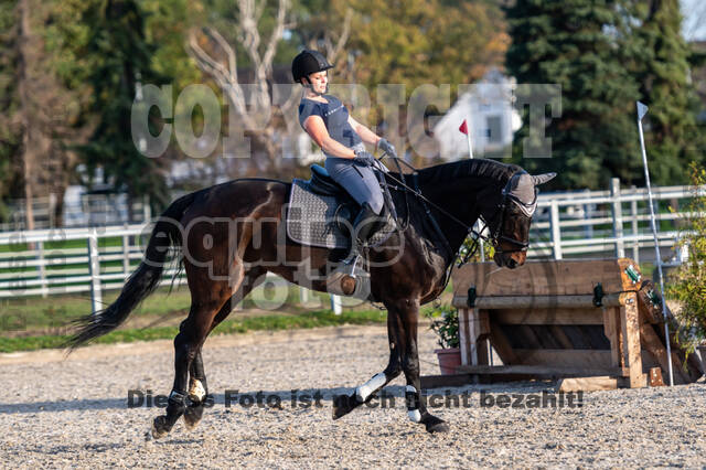IGV Lehrgang der Sieger der Cups mit Frank Ostholt