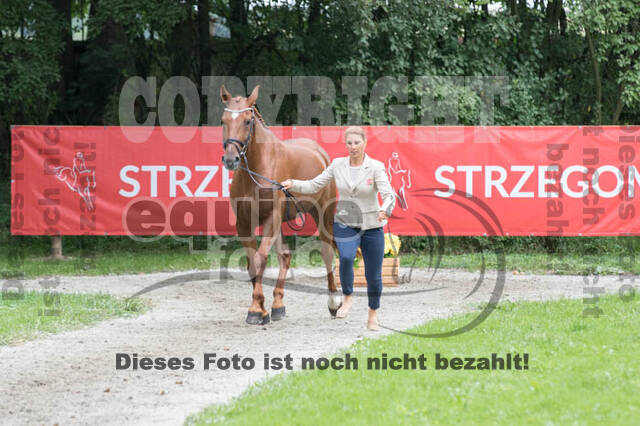 FEI European Championship Eventing 2017