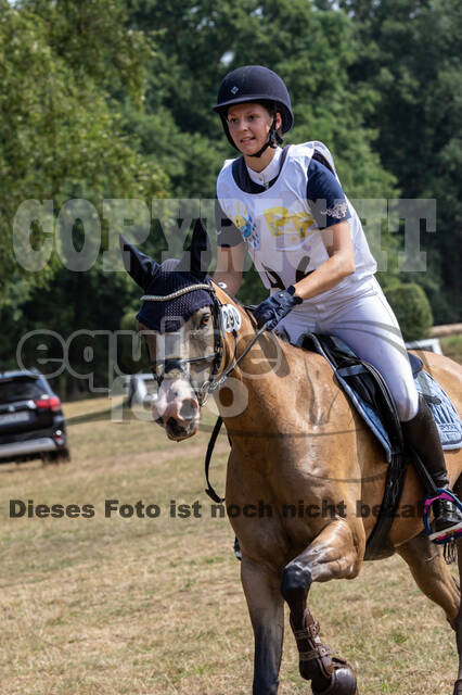 Late-Entry Vielseitigkeit Hamminkeln/Wesel (01.+02.08.2020)