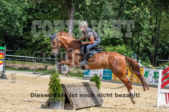 Hunter Geländetraining 10.07.2021 (Sonsbeck)