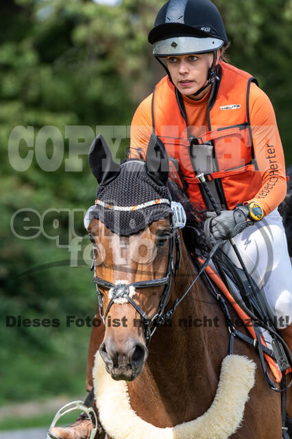 Late-Entry-Vielseitigkeit Langenfeld (06.+07.07.2020)