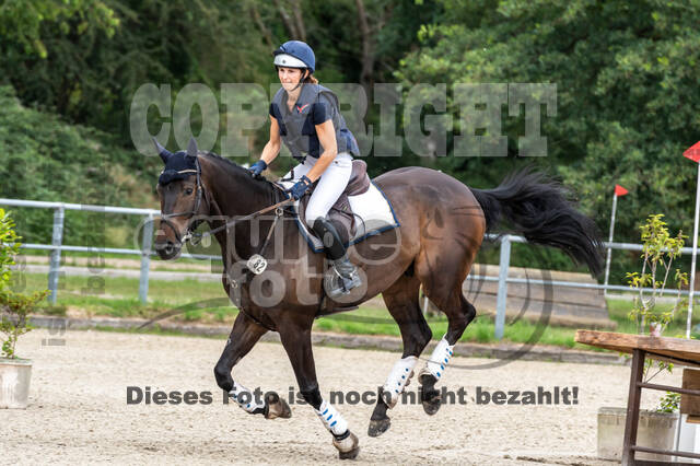 Late-Entry-Vielseitigkeit Langenfeld (11.+13./14.06.2020)