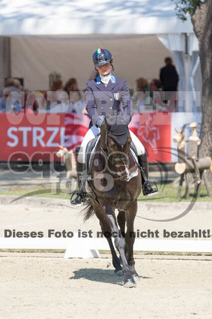 FEI European Championship
