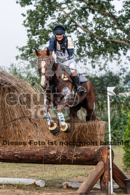 De Peelbergen (August 2020)