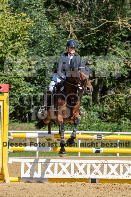 RFV Dinslaken-Hiesfeld (Herbstturnier)