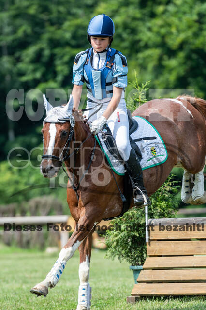 Goldene Schärpe 2021 - Ponys