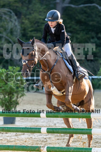RFV Dinslaken-Hiesfeld (Herbstturnier)