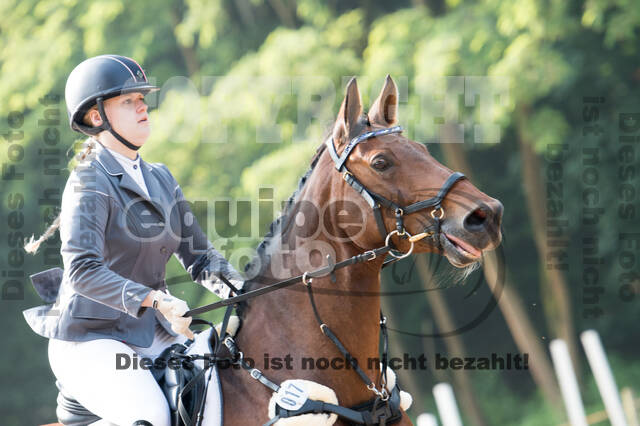 Vielseitigkeitsturnier RFV Bad Honnef