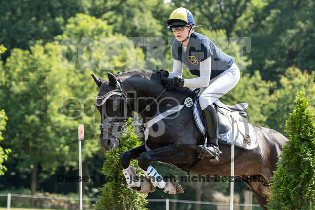Goldene Schärpe 2021 - Ponys
