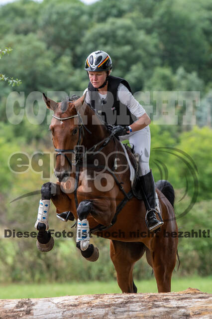 Bonn-Rodderberg Late-Entry-Vielseitigkeit (30.06.2020)
