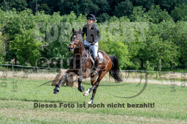 Bonn-Rodderberg Late-Entry-Vielseitigkeit (30.06.2020)