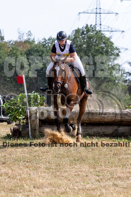 Late-Entry Vielseitigkeit Hamminkeln/Wesel (01.+02.08.2020)