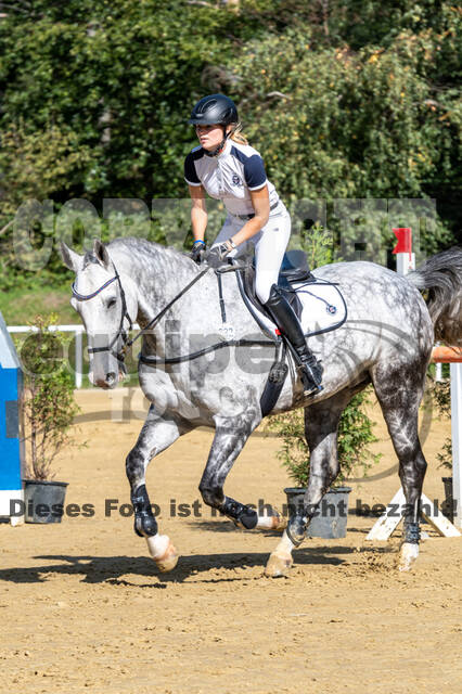 RFV Dinslaken-Hiesfeld (Herbstturnier)