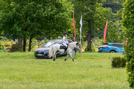 Westerstede Horse Trials 2021
