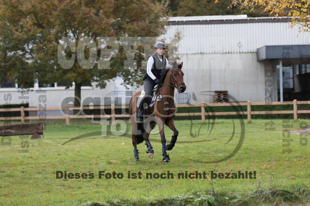 IGV Lehrgang der Sieger der Cups mit Frank Ostholt