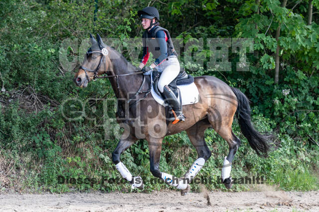 Late-Entry-Vielseitigkeit Langenfeld (11.+13./14.06.2020)