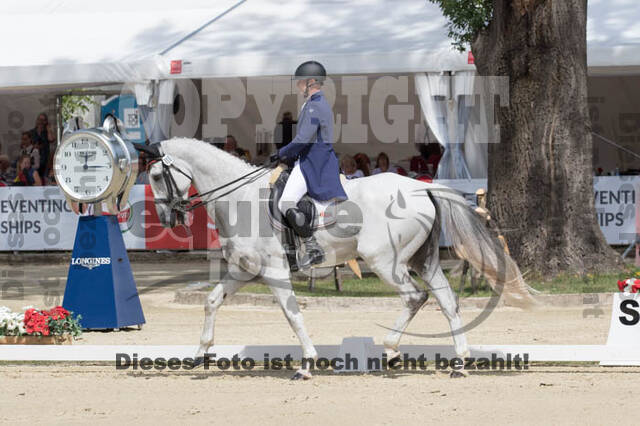 FEI European Championship Eventing 2017