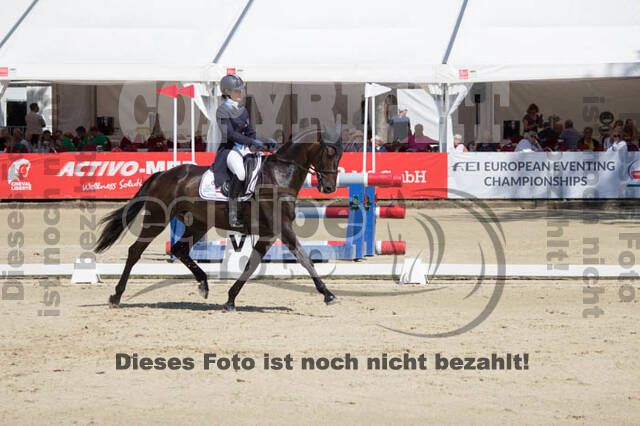FEI European Championship
