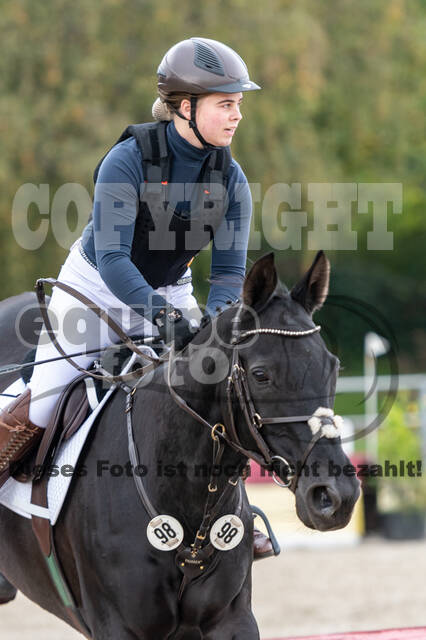 Goldene Schärpe 2020 - Pferde