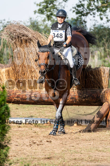 De Peelbergen (August 2020)