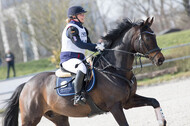 Eventing Langenfeld 2018