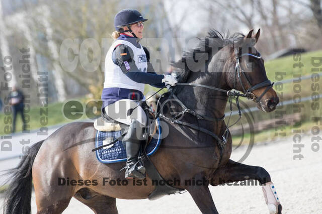 Eventing Langenfeld 2018