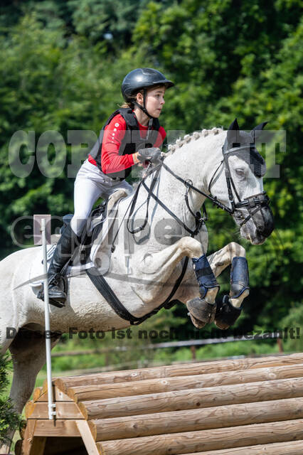 Goldene Schärpe 2021 - Ponys