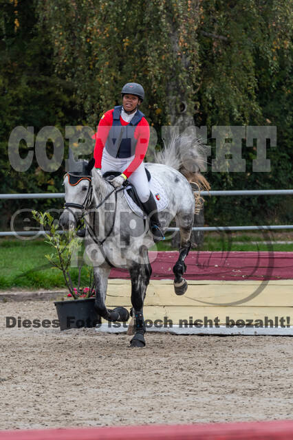 Goldene Schärpe 2020 - Pferde