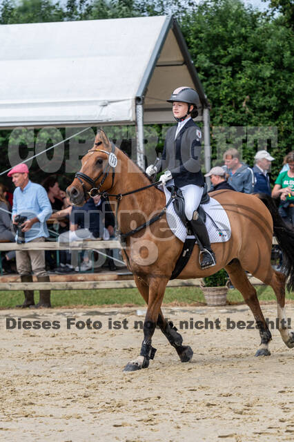 Goldene Schärpe 2021 - Ponys
