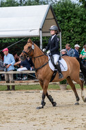 Goldene Schärpe 2021 - Ponys
