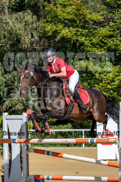 RFV Dinslaken-Hiesfeld (Herbstturnier)