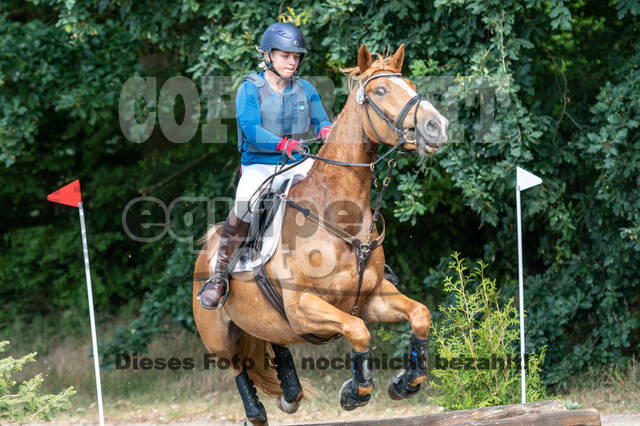 Late-Entry-Vielseitigkeit Langenfeld (11.+13./14.06.2020)