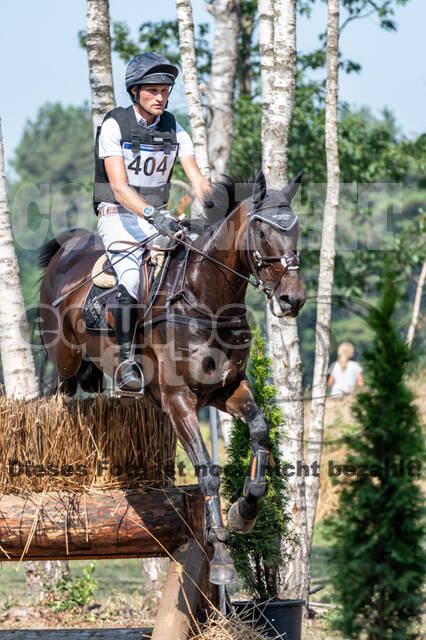 De Peelbergen (August 2020)