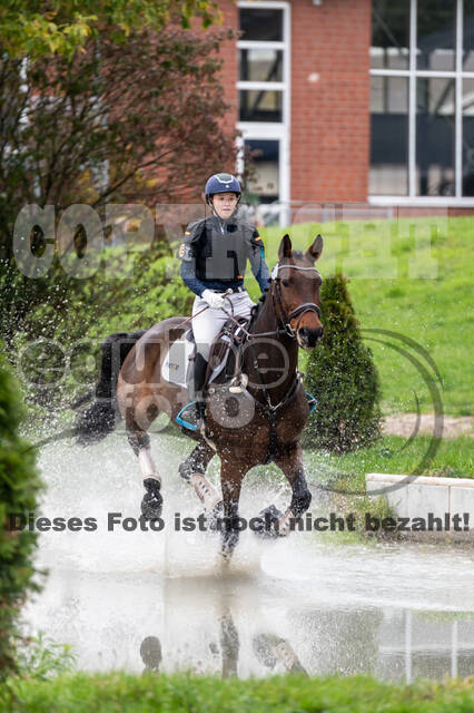 Goldene Schärpe 2020 - Pferde