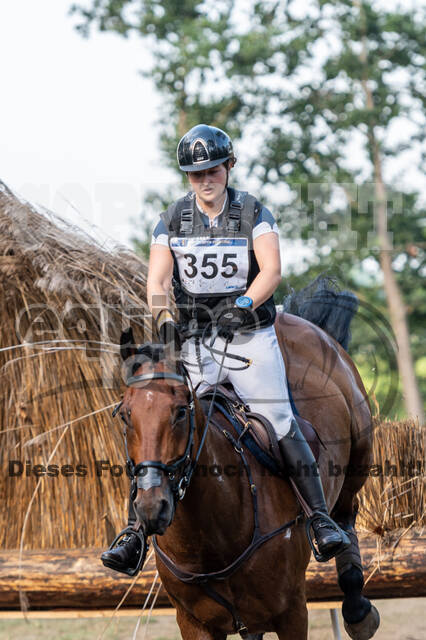 De Peelbergen (August 2020)