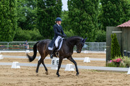 Westerstede Horse Trials 2021