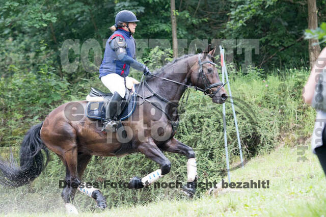 Vielseitigkeitsturnier Bad Honnef