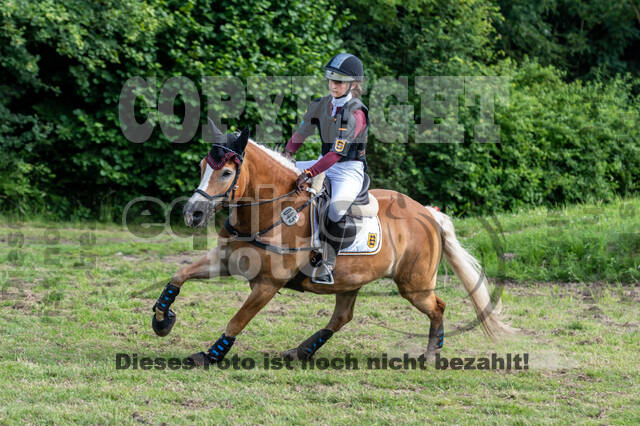 Goldene Schärpe 2021 - Ponys