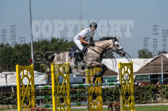 Kronenberg - De Peelbergen (August 2020)