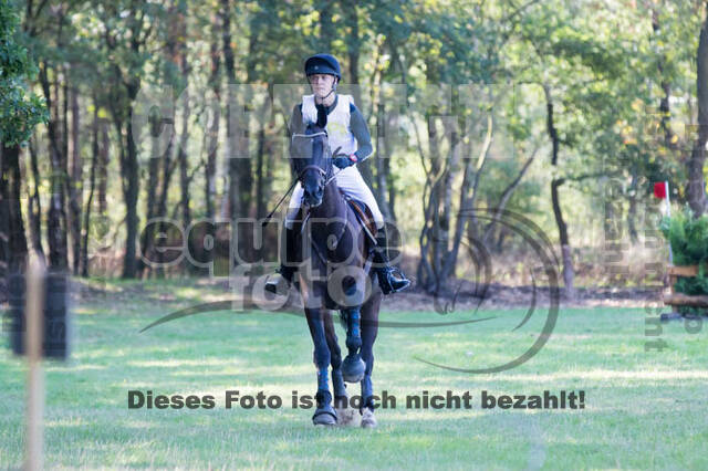 Vielseitigkeitsturnier RSV St. Hubertus Wesel Obrighoven