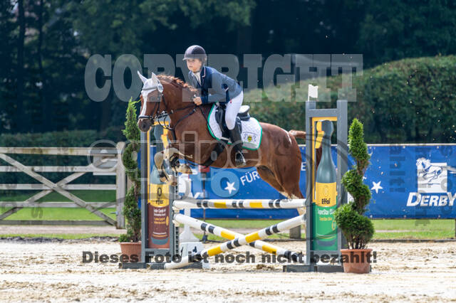 Goldene Schärpe 2021 - Ponys