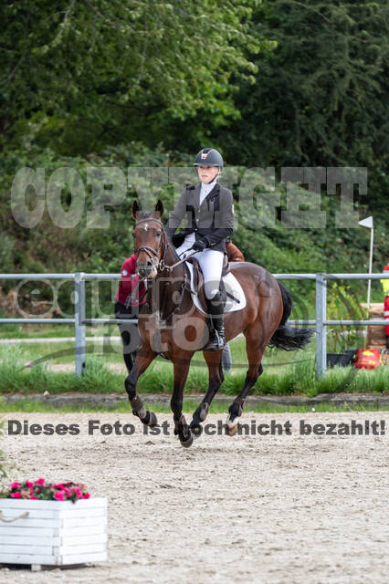 Late-Entry-Vielseitigkeit Langenfeld (06.+07.07.2020)