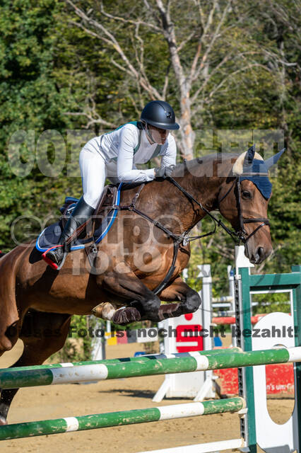RFV Dinslaken-Hiesfeld (Herbstturnier)