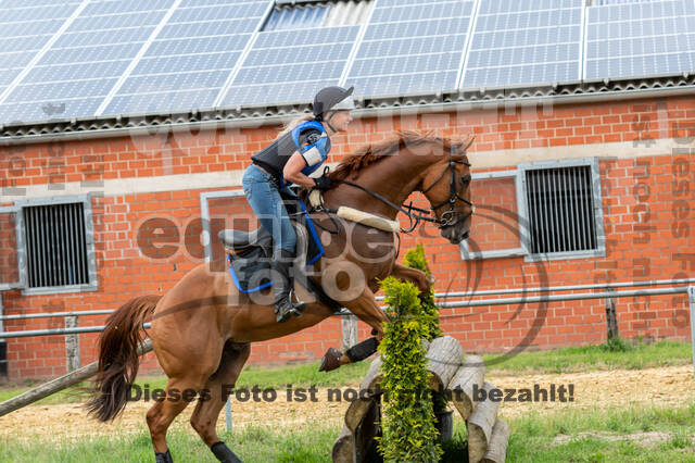 Hunter Geländetraining 10.07.2021 (Sonsbeck)